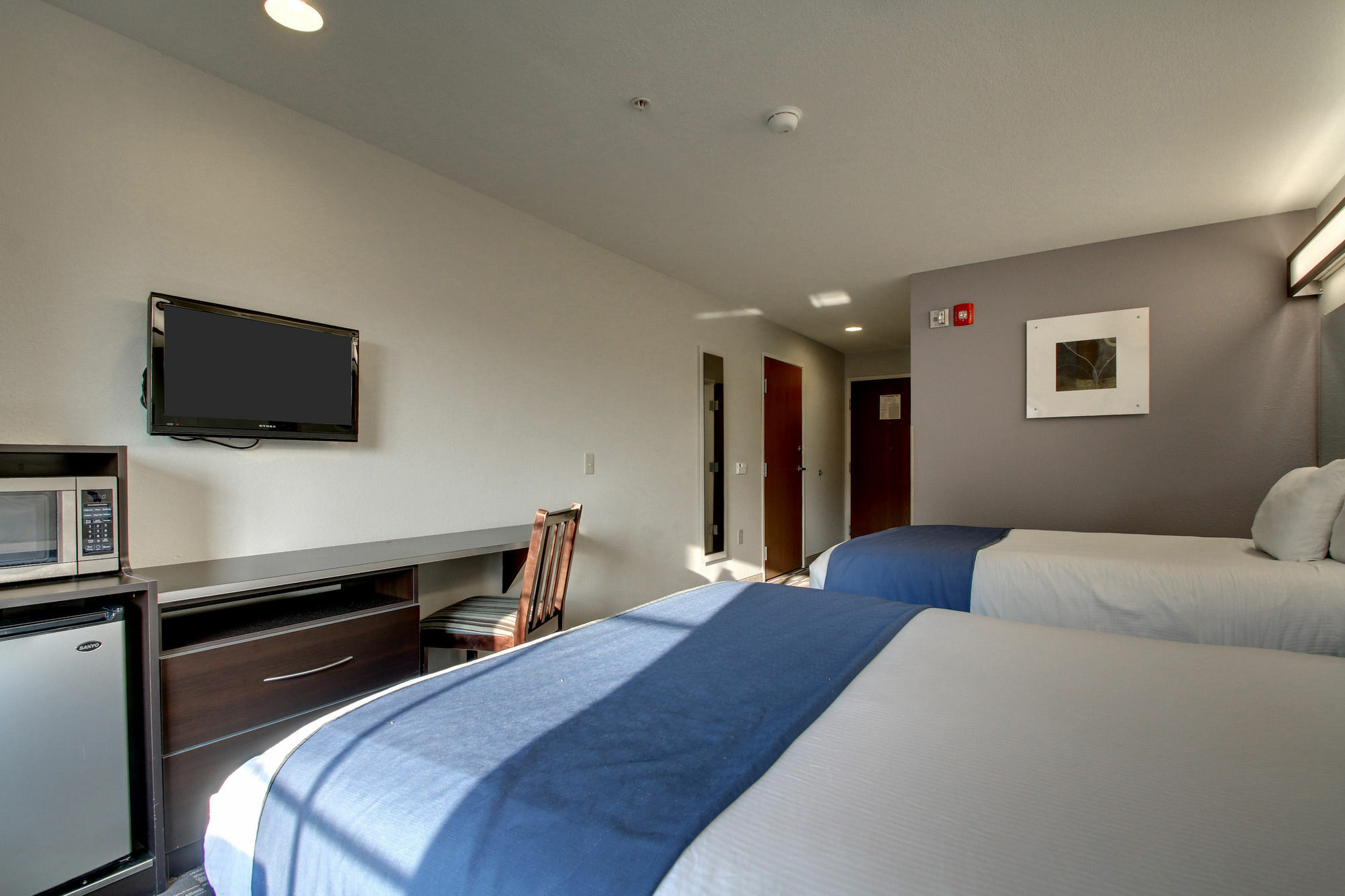 Microtel Inn & Suites By Wyndham טסקלוסה מראה חיצוני תמונה